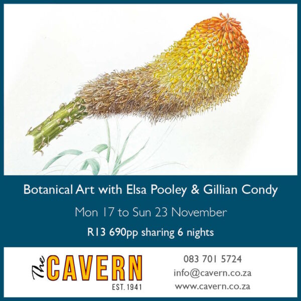 Botanical Art Workshop 17 to 23 November 2025