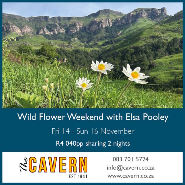 Wildflower Weekend - 14 - 16 November 2025