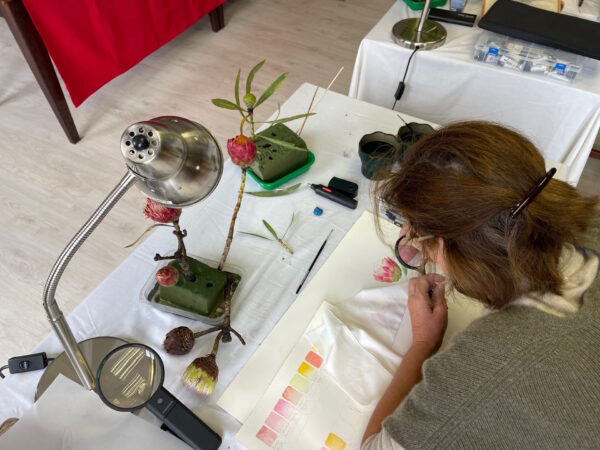 Botanical Art Workshop